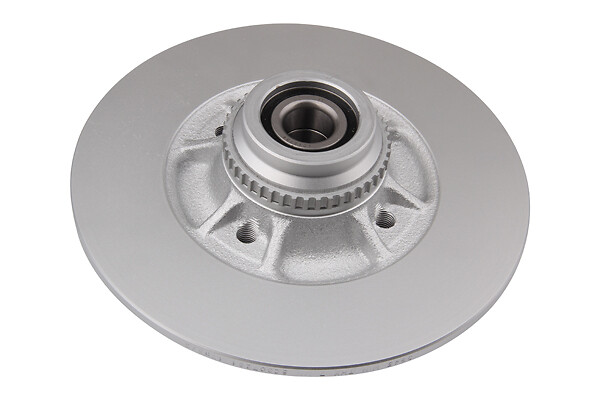 BRAKE DISC X1 WITH BRG REN MEGANE1 RR